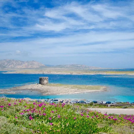 Apartment Arianna 150mt From