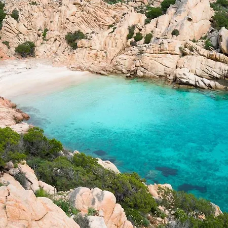 Apartment Arianna 150mt From *