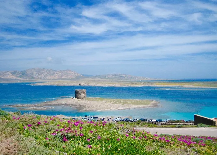 Apartamento Arianna 150mt From